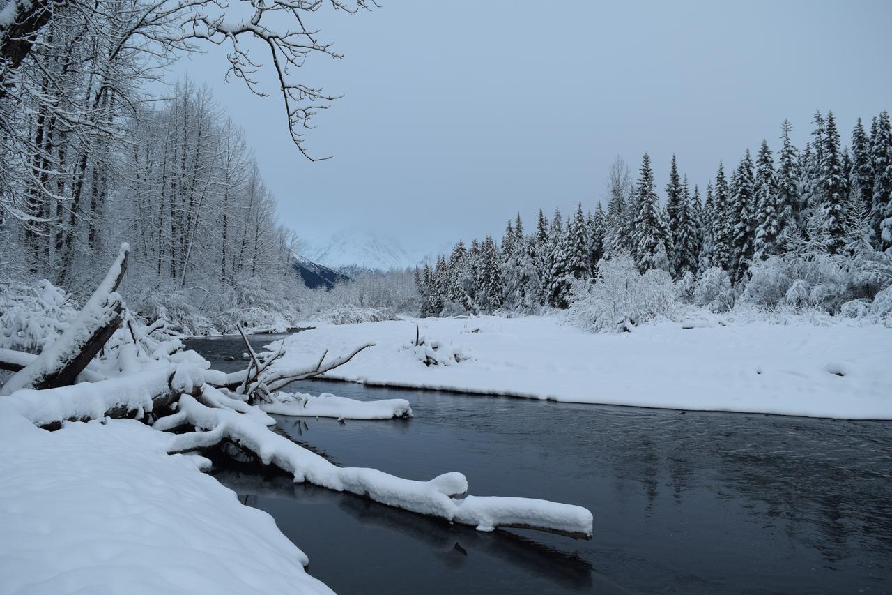 Skiview #103 Girdwood Exterior foto